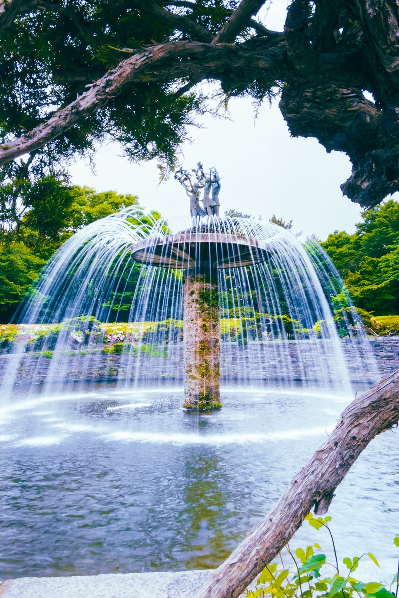 Showa Kinen Park Fountain