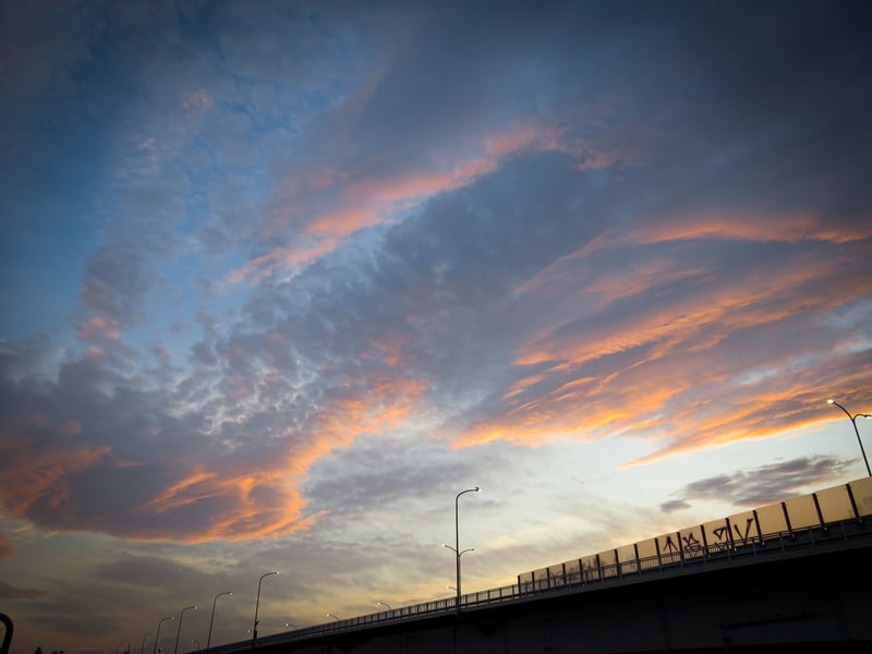 Futako-Tamagawa Riverbank