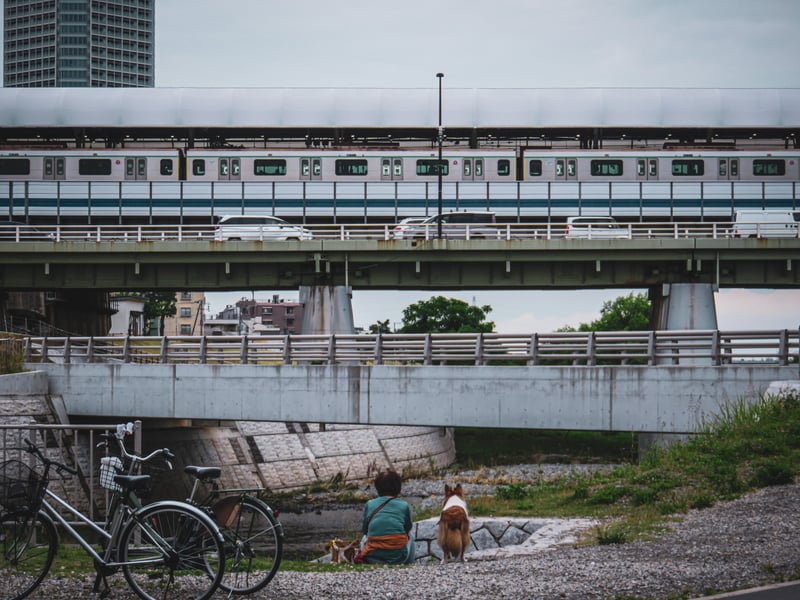 Tama Riverbank at Futako-Tamagawa