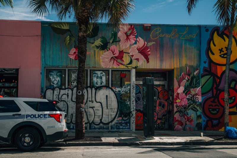 Wynwood Art District Murals