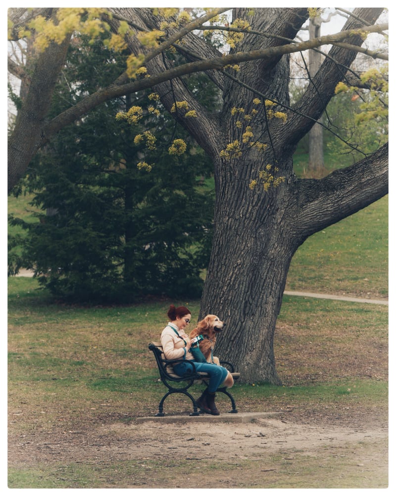 McLennan Park