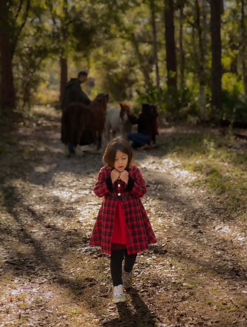 Land O' Lakes Heritage Park