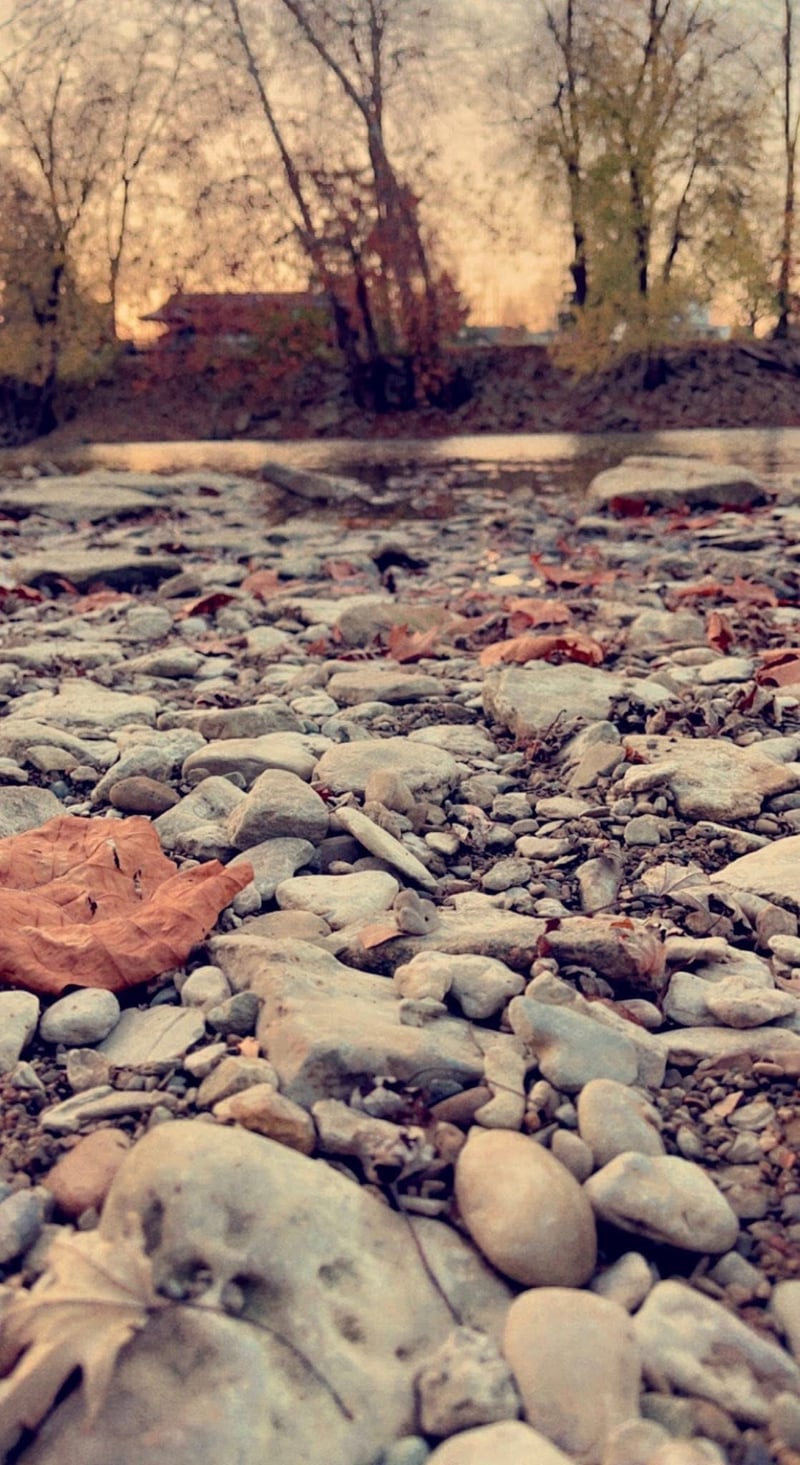 Little Miami Riverbank at Loveland