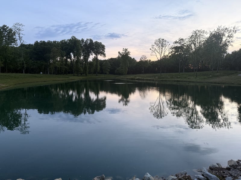 Estate Court Pond Reflection
