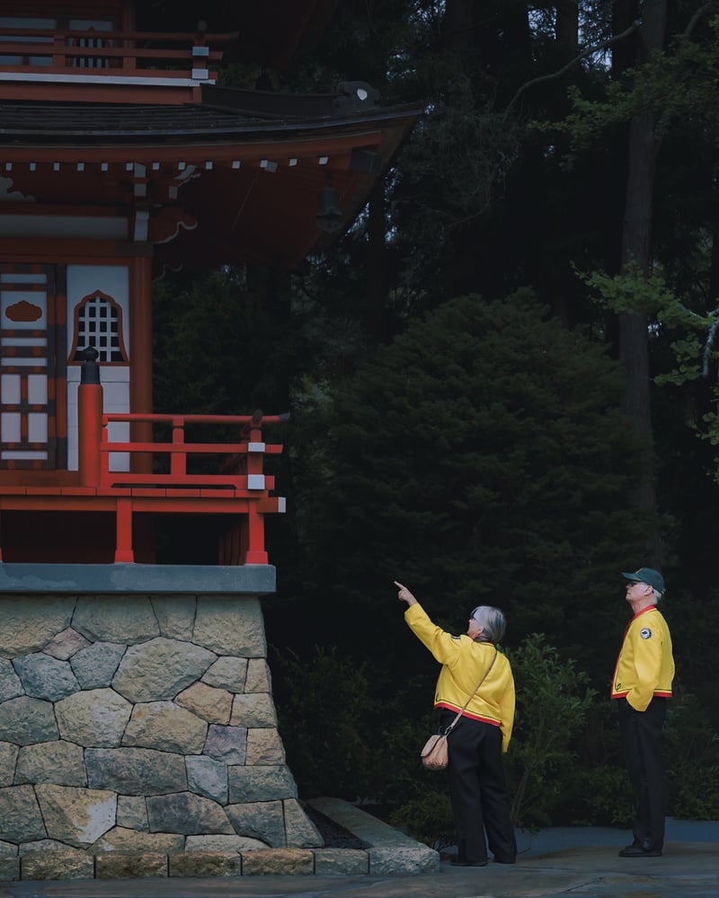 Japanese Tea Garden