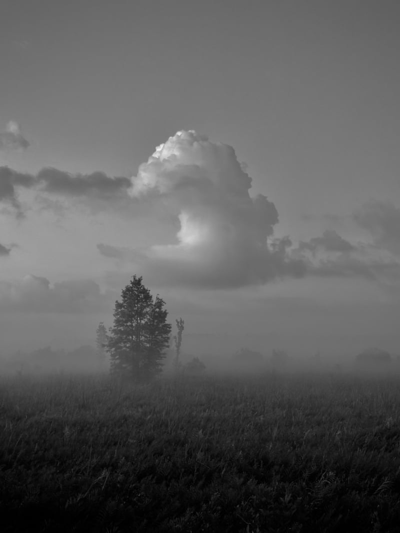 Triple N Ranch Wildlife Management Area