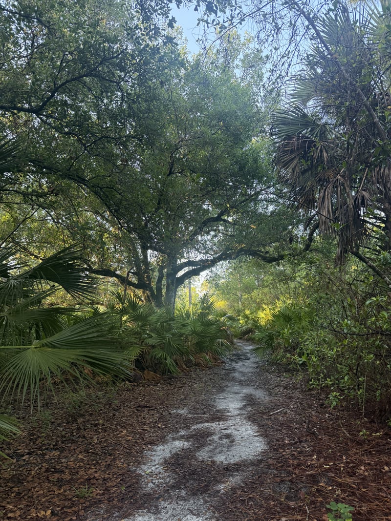 Yellow Fever Creek Preserve Trail