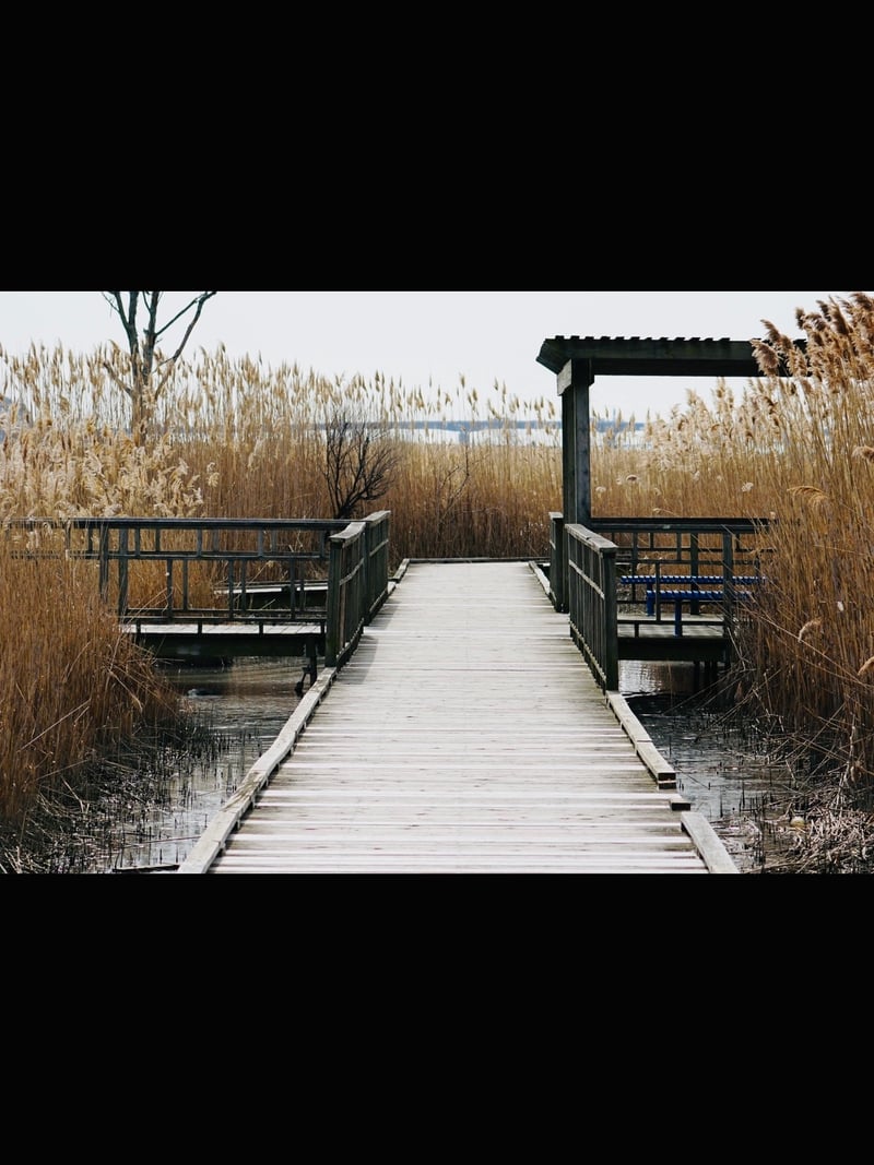Richard W. DeKorte Park Boardwalk