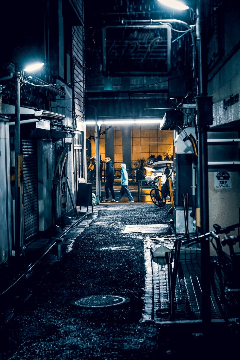 Sangenjaya Sankaku-chitai Alleys