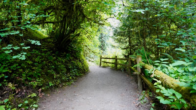 Lower Macleay Trail