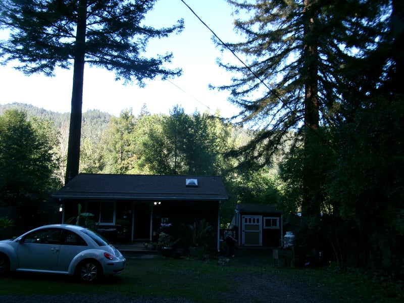Forestville Redwood Cabin