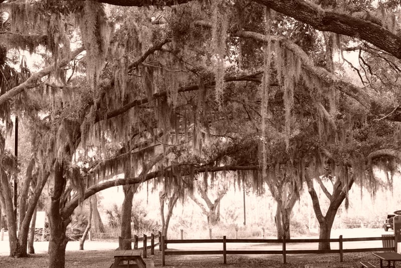 Fort Hamer Park
