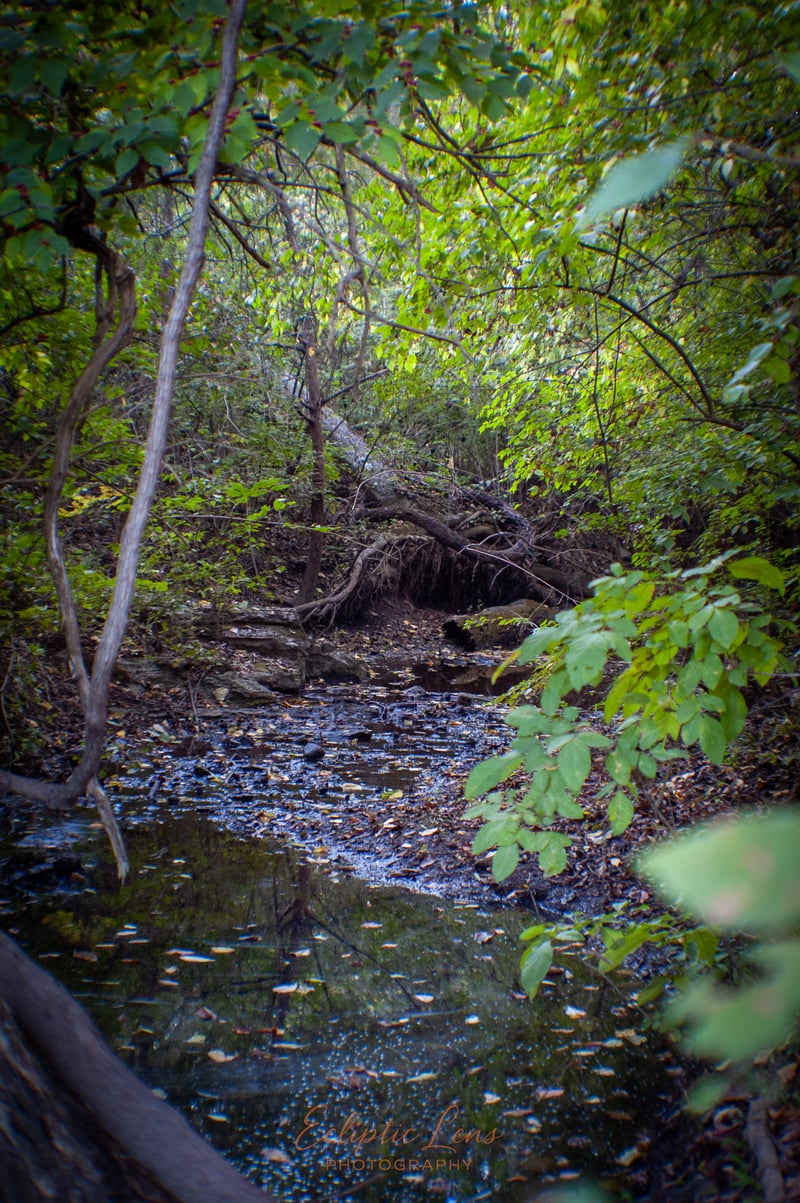 Briarhill Creek Woods
