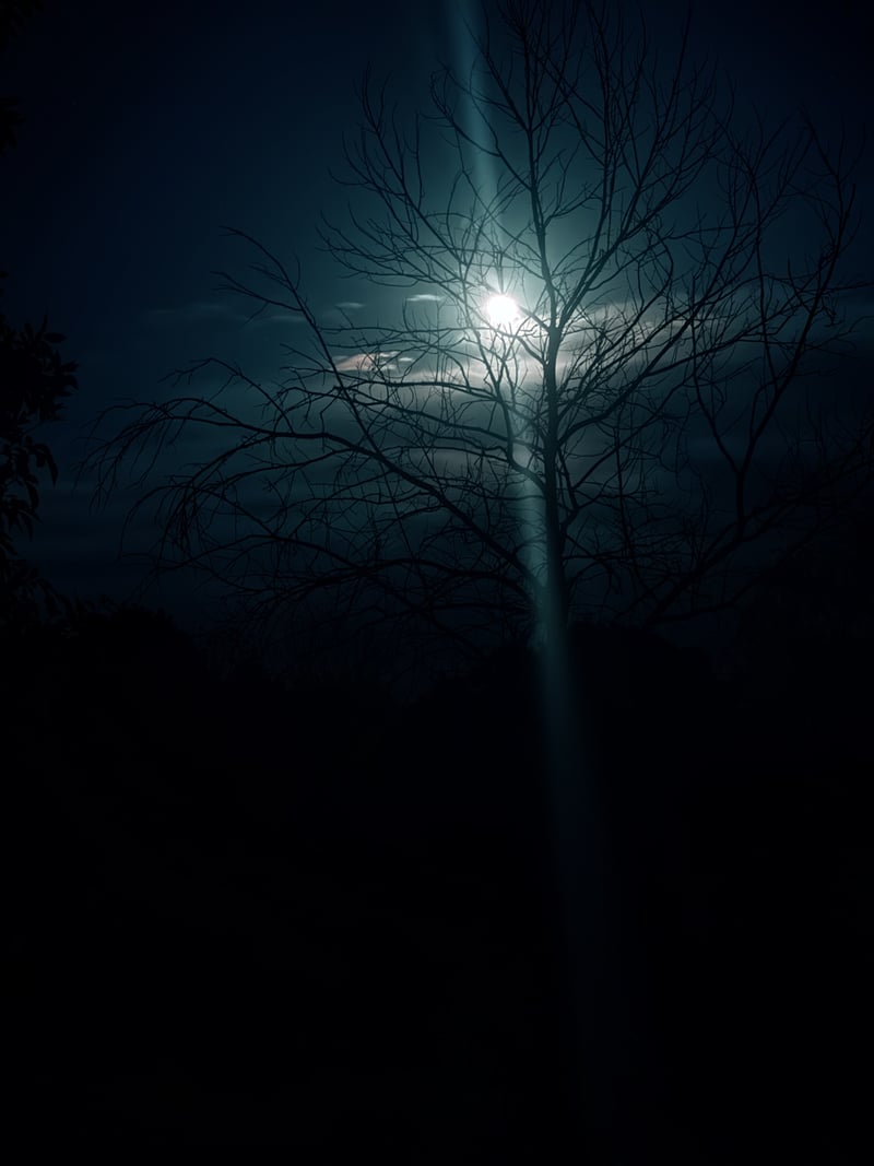 Briarhill Rural Nightscape