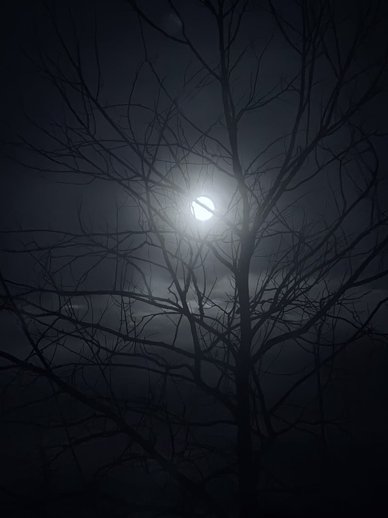 Moonlit Silhouette in Lebanon