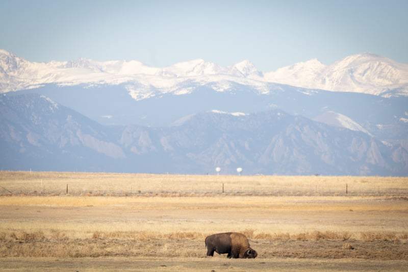 Rocky Mountain Arsenal National Wildlife Refuge