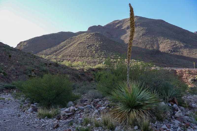 Franklin Mountains Foothills