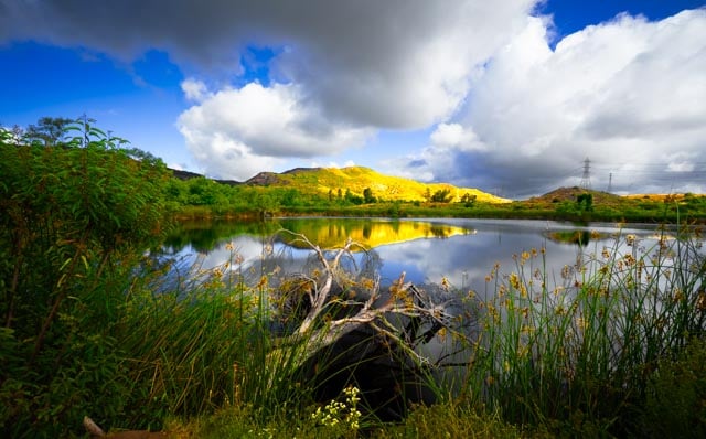 Laguna Woods Foothills Pond