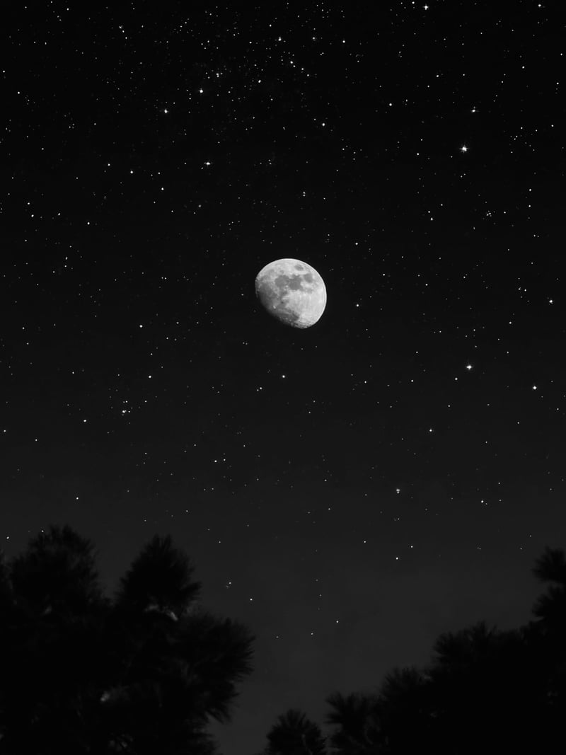 Woodside Night Sky