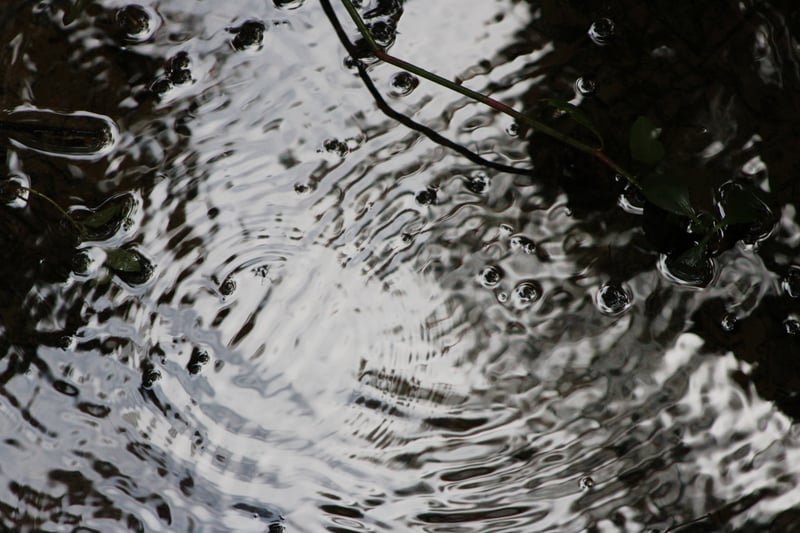 Brook Hill Nature Area