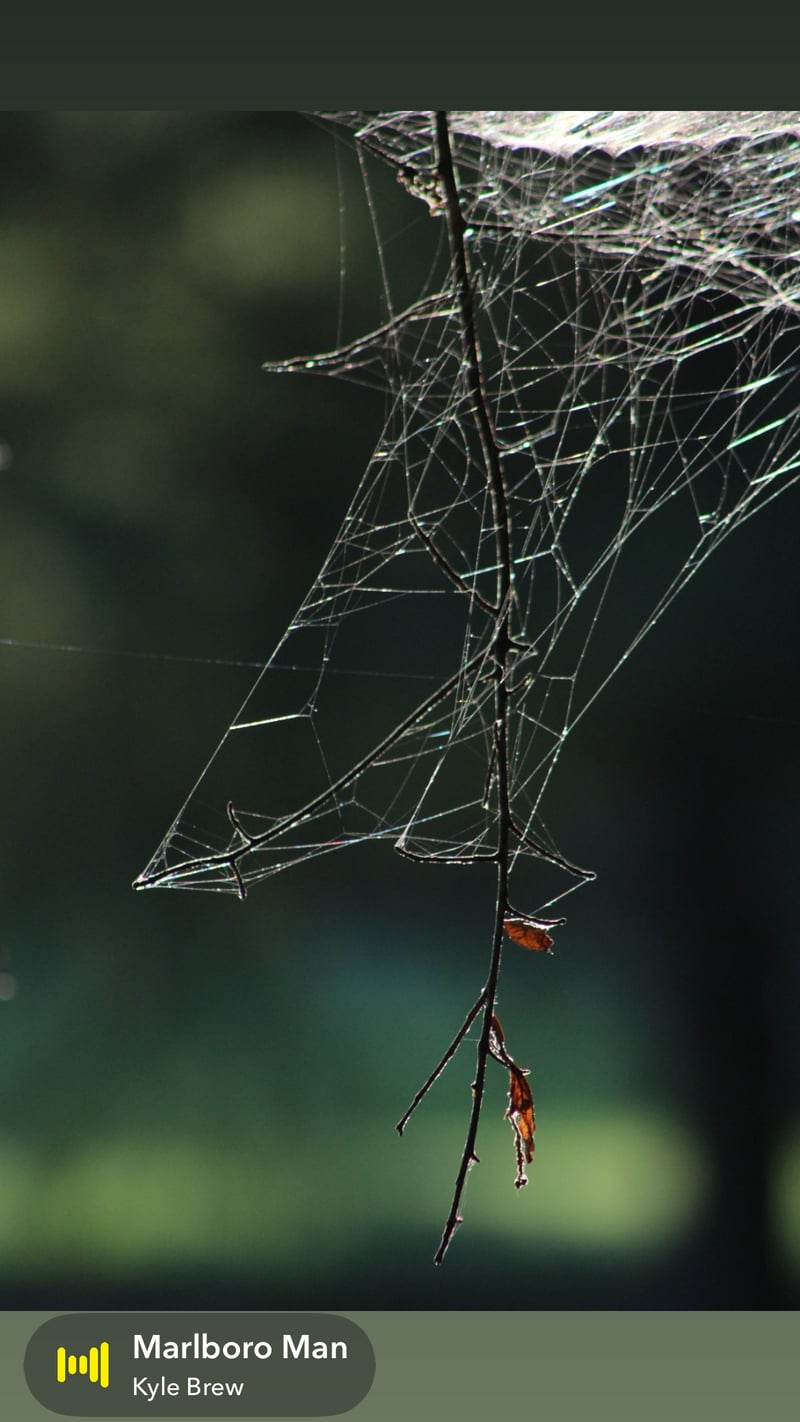 East Texas Nature Trail