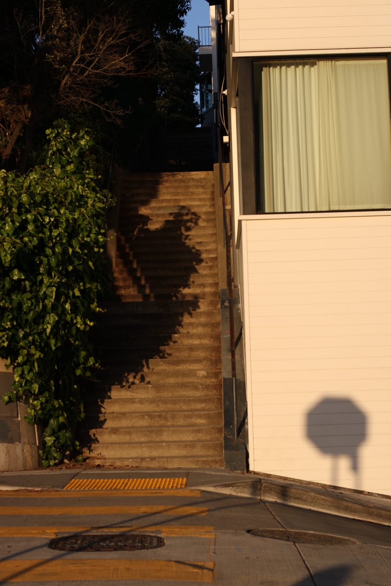 Greenwich Steps at Telegraph Hill