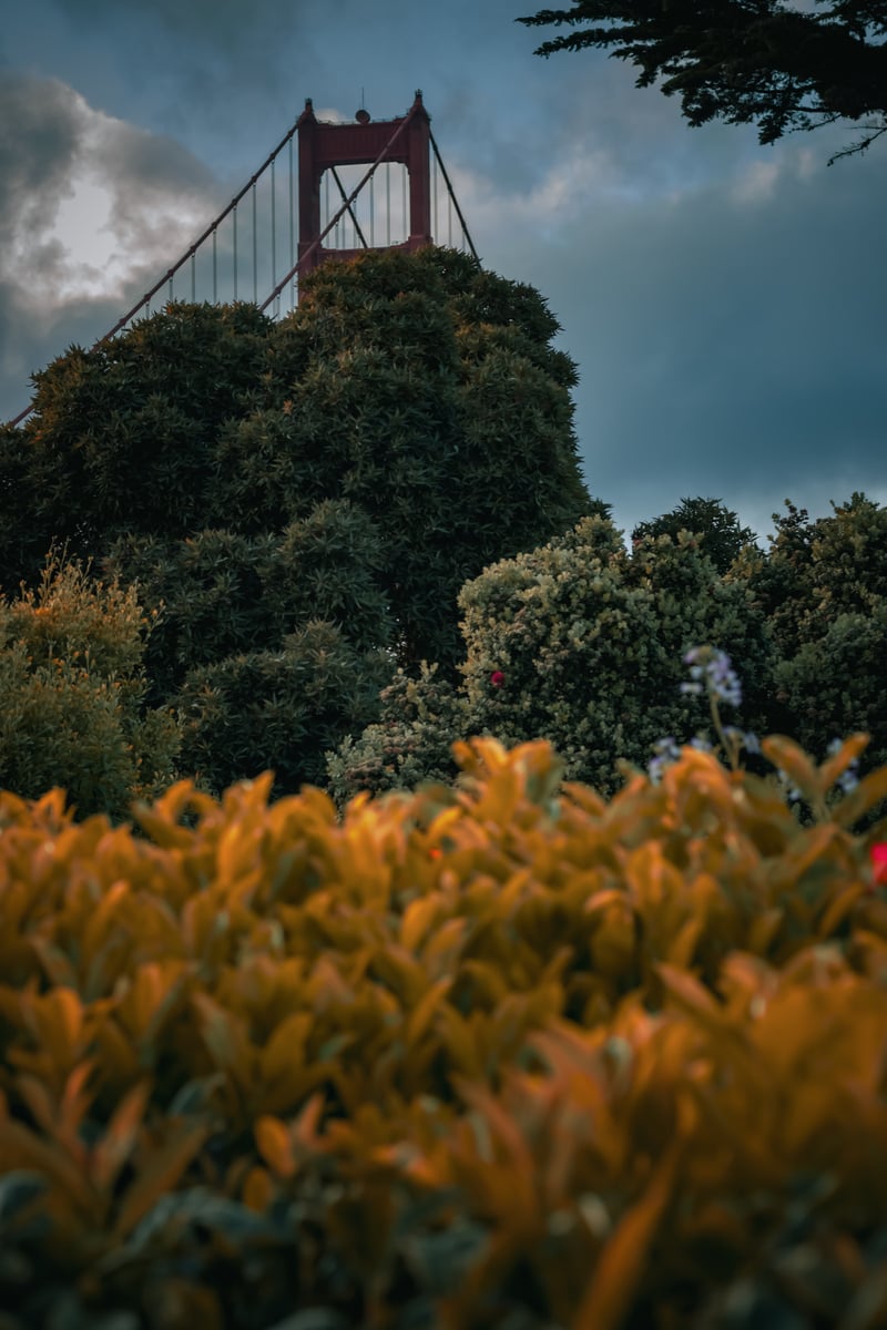 Golden Gate Bridge from Marine Drive