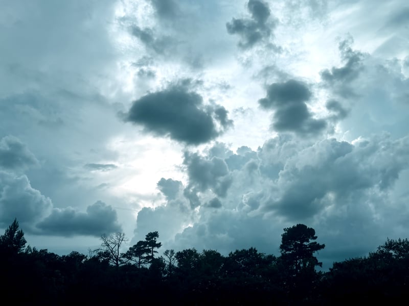 Matthews Horizon View