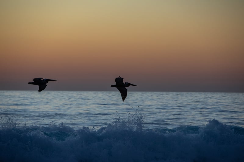 Sunset Cliffs Natural Park