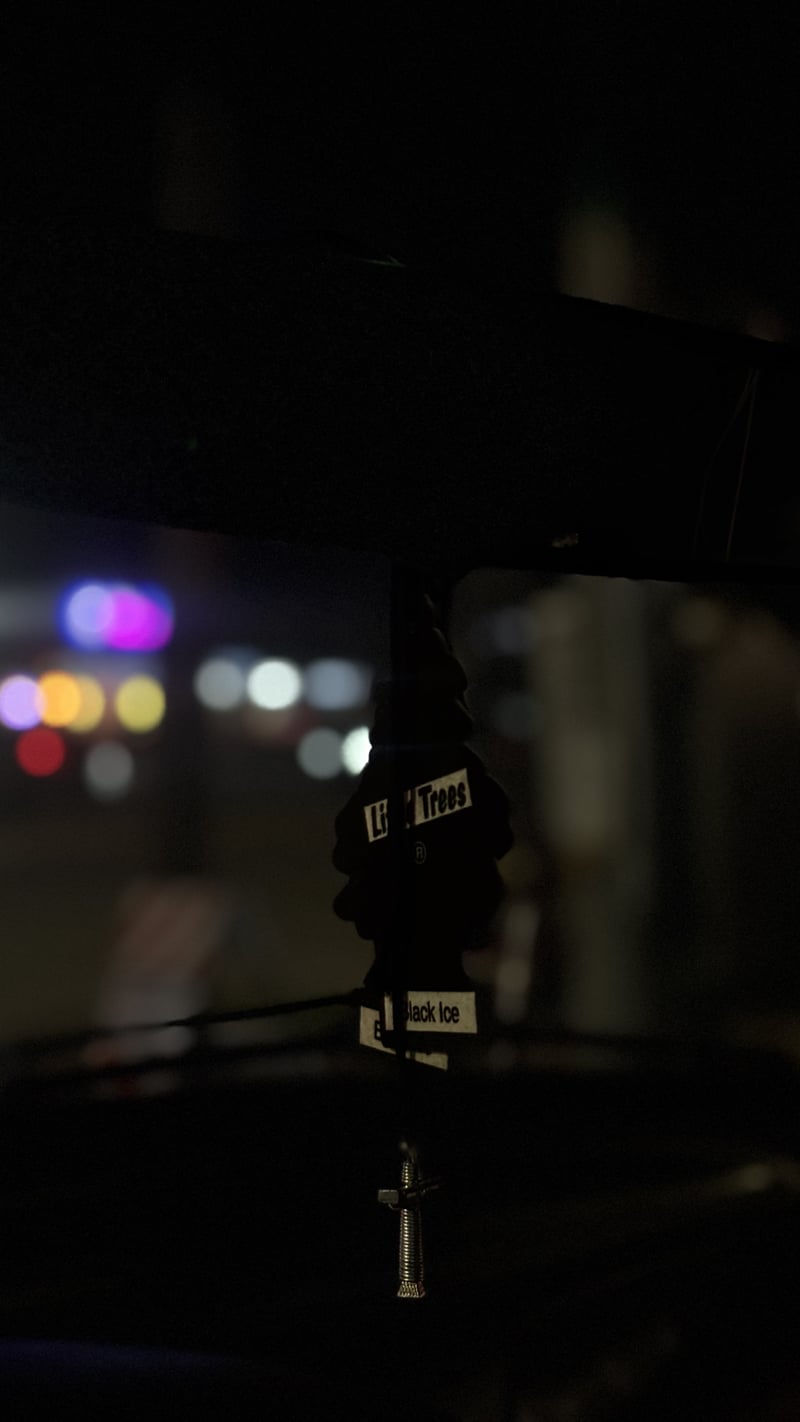 Savannah Night Drive