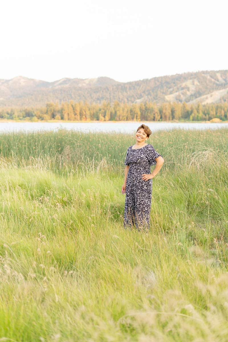 Big Bear Lake Shoreline