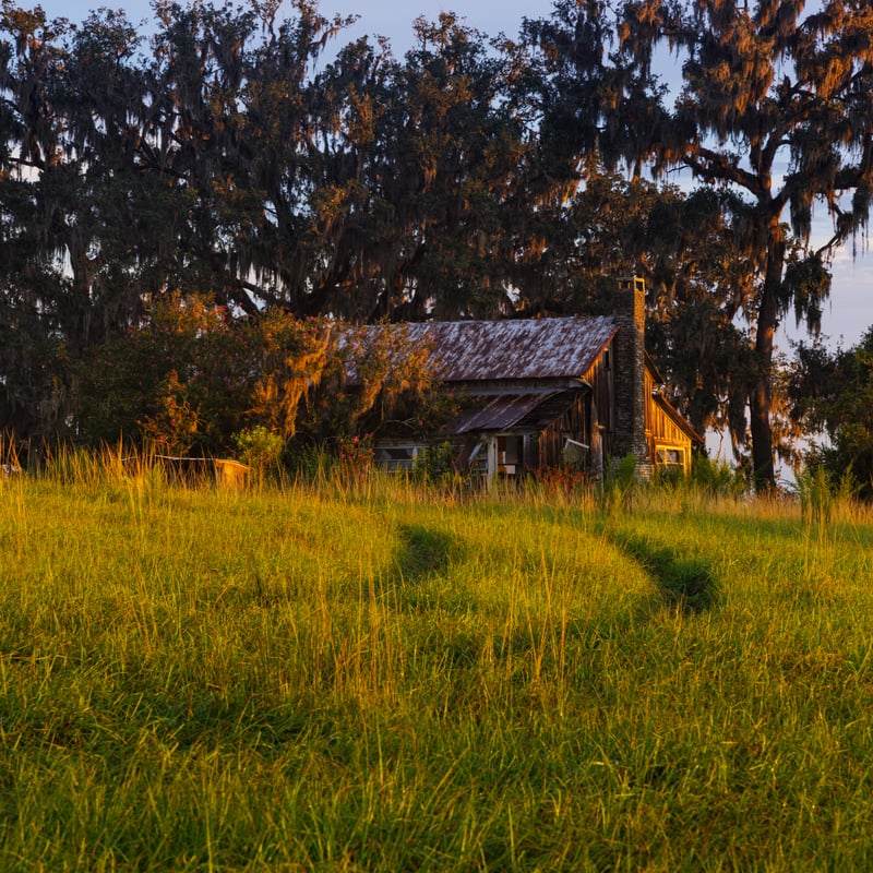 Abandoned Farmhouse on Rice Road