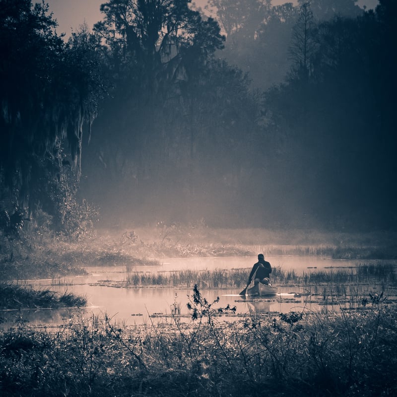 Alafia River Wetlands