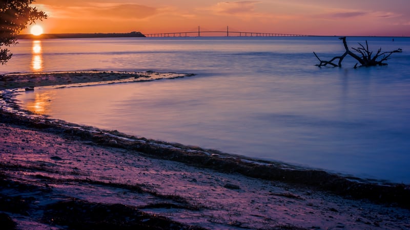 Sunshine Skyway Bridge from Terra Ceia