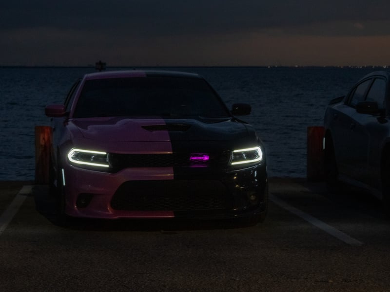 Tampa Waterfront Automotive Overlook