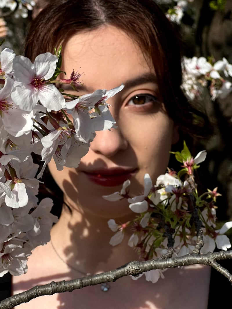 Yoyogi Park Cherry Blossoms