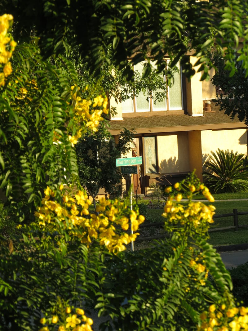 Winnetka Drive Garden Corner
