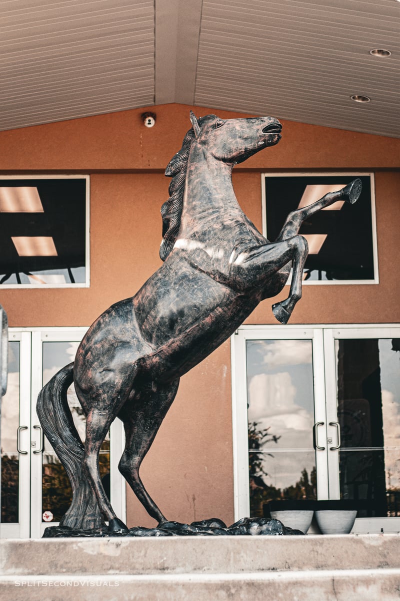 Rearing Horse Statue at Cantera Manor