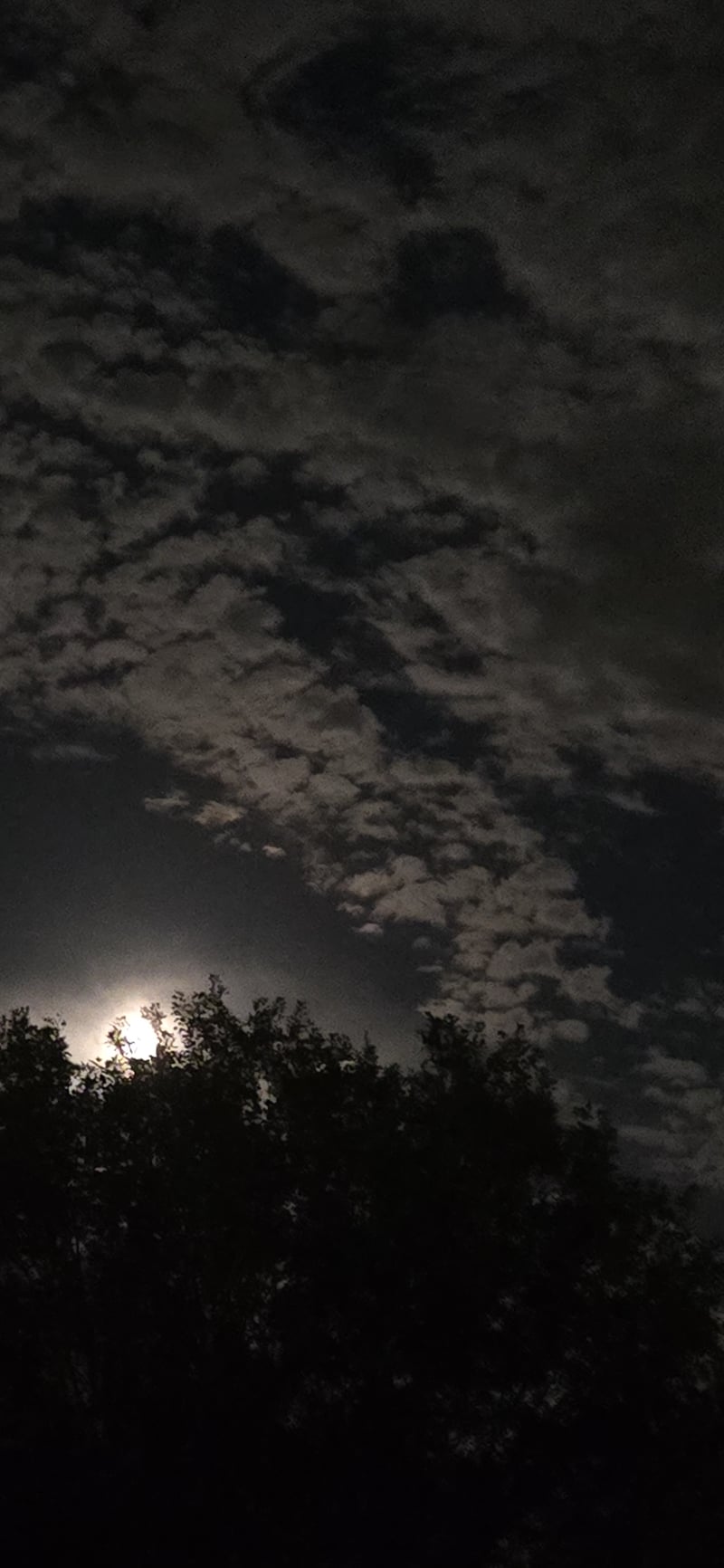 Universal City Night Sky