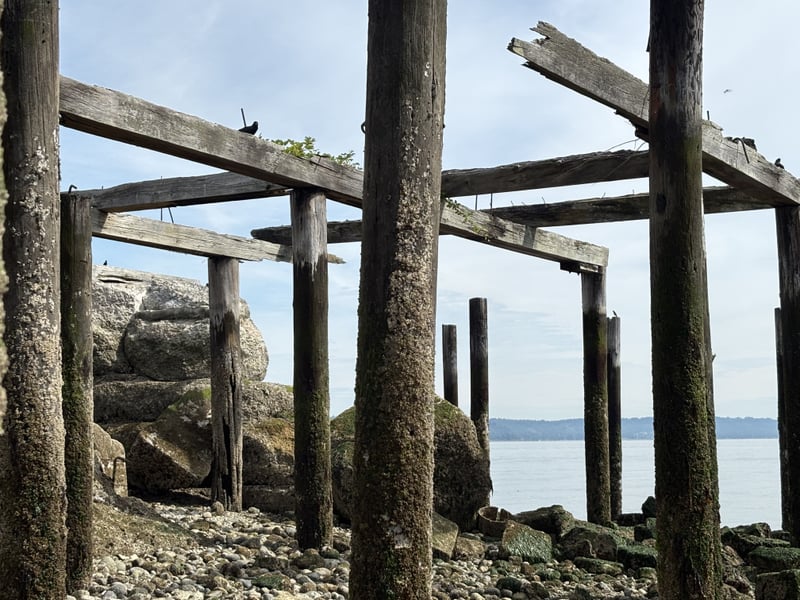 Ruston Way Waterfront Pilings