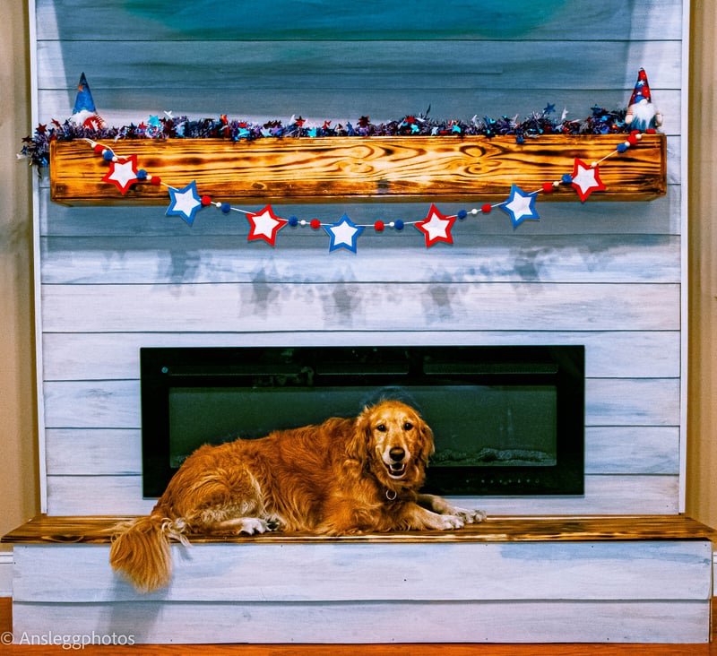 Savannah Holiday Portrait Studio