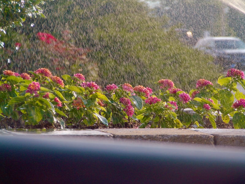 Fayette Mall Flower Beds