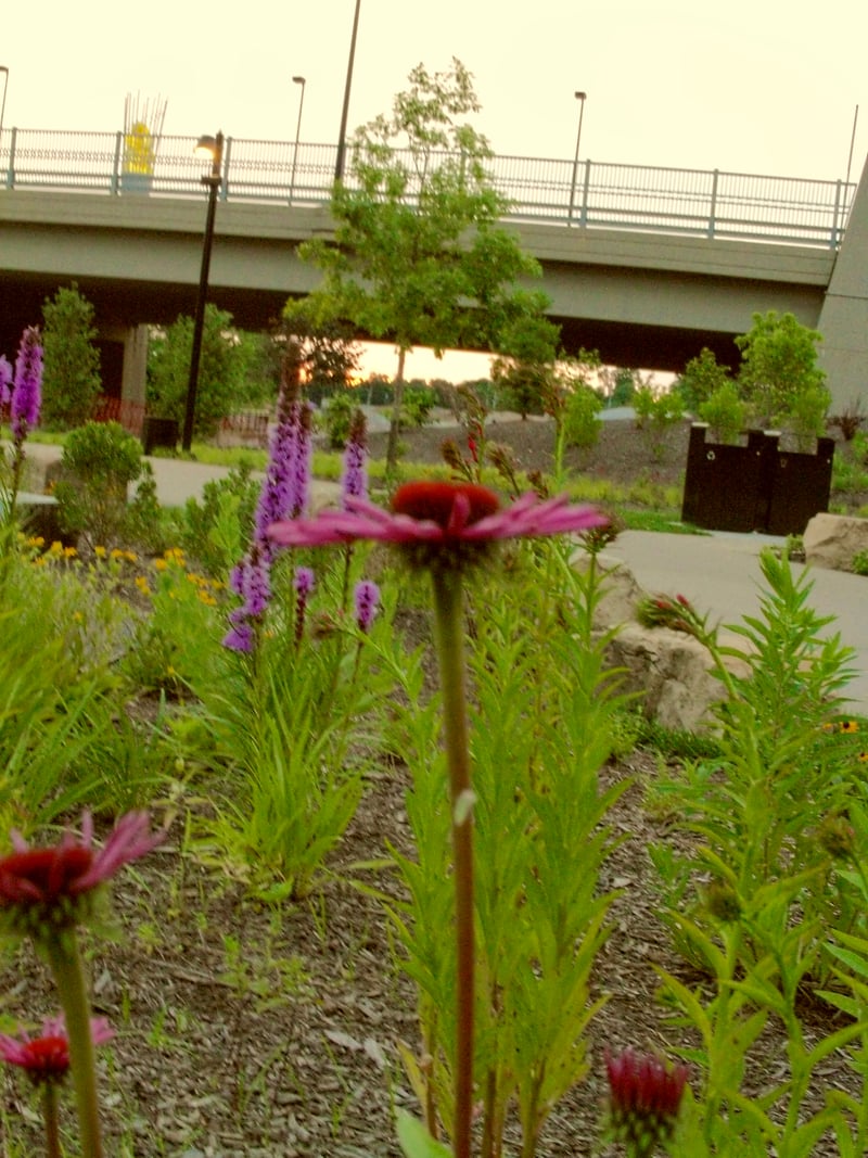 Manchester Street Park