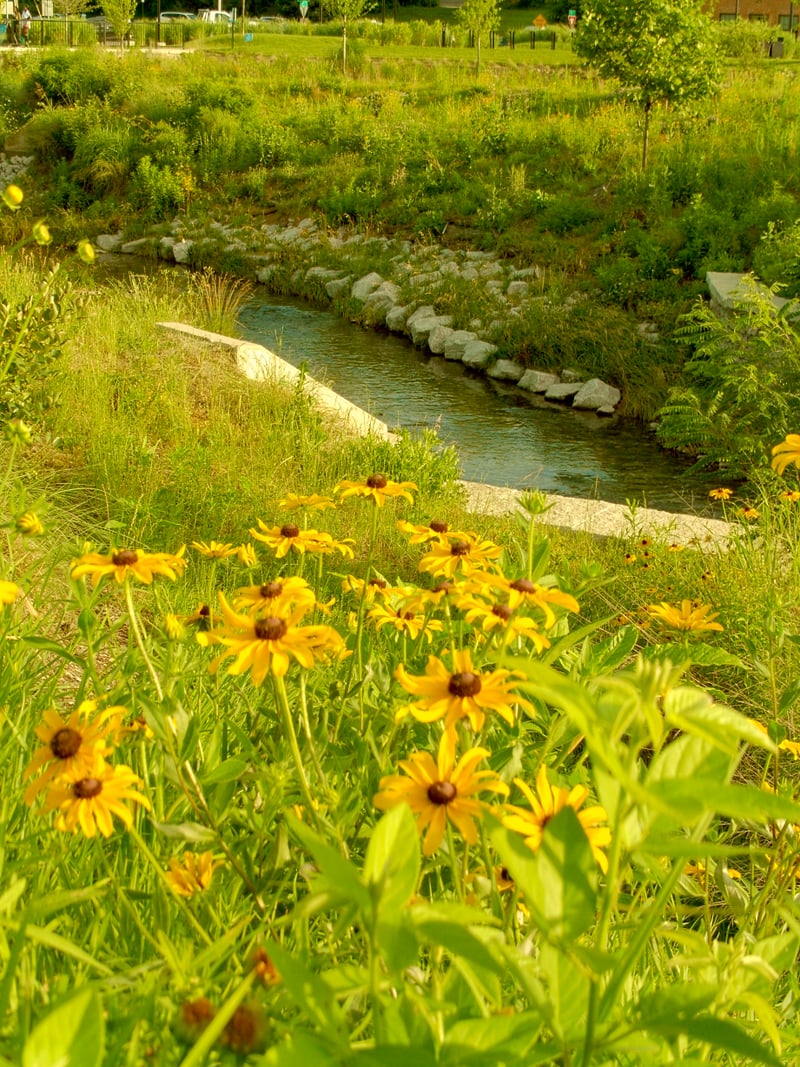 Town Branch Park