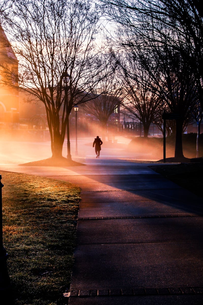 North Ridge Misty Walkway