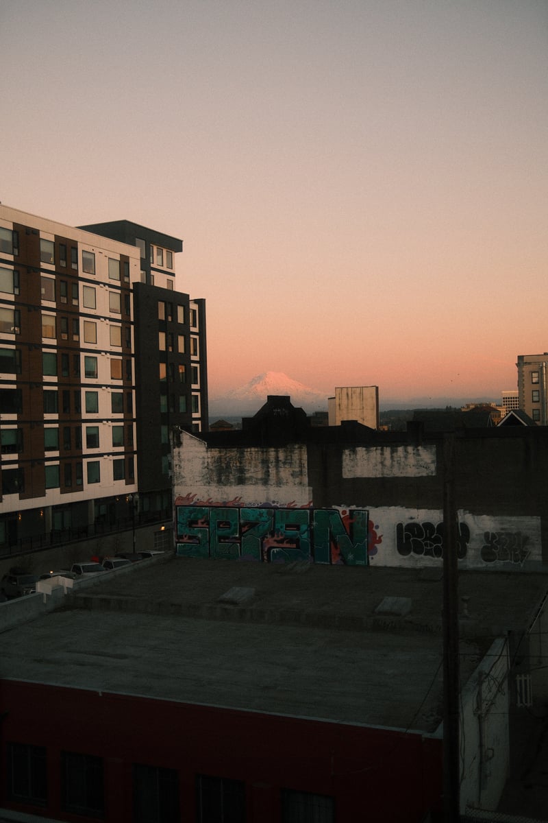 Mount Rainier Urban Overlook