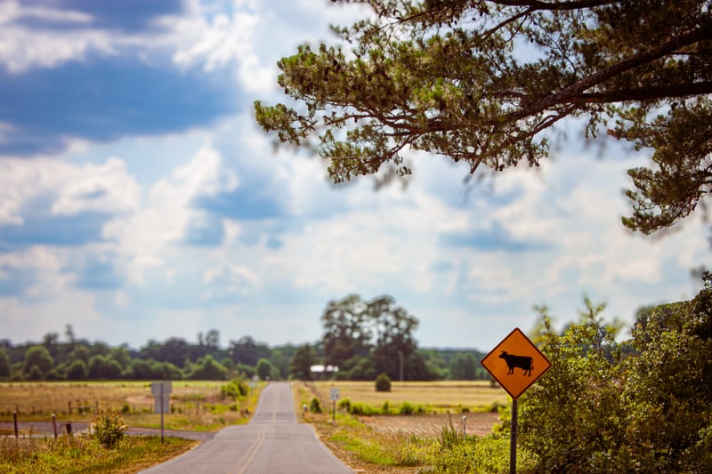 Kenly Countryside Road
