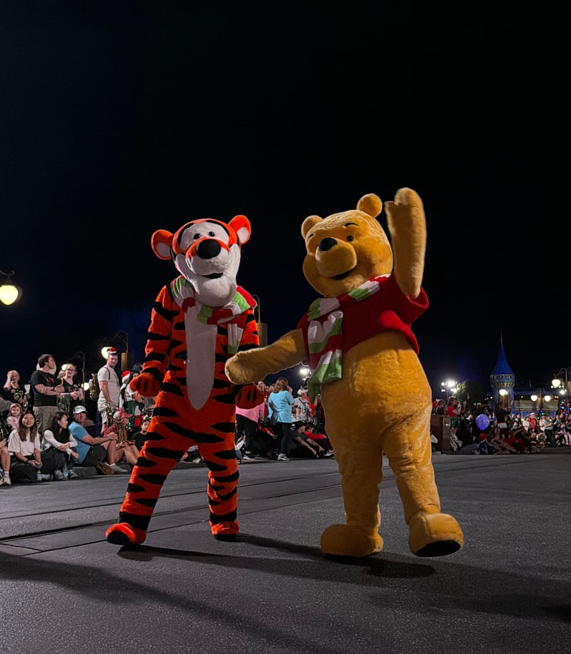 Magic Kingdom Park