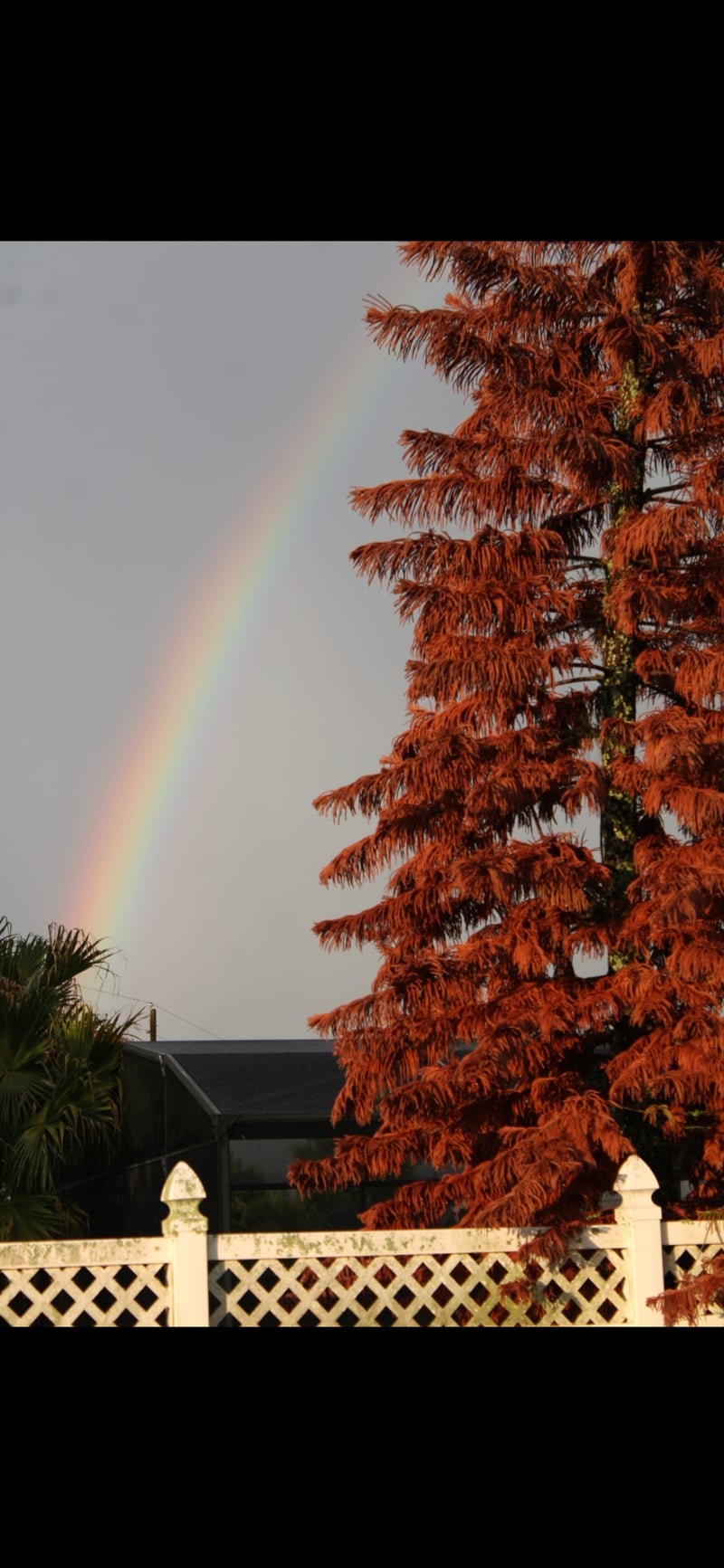 Poinciana Residential Rainbow View