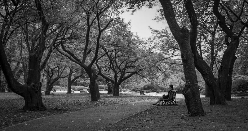 Shinjuku Gyoen National Garden